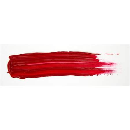 Crayola Portfolio Series Acrylic Paint (204016115)