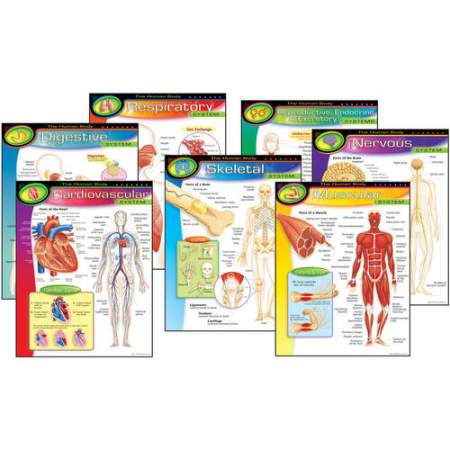 TREND The Human Body Chart Pack (38913)