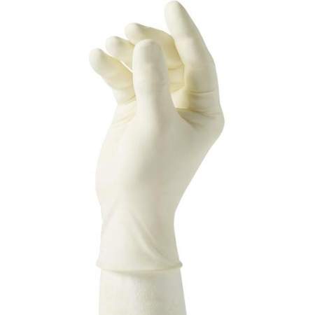 Curad Powder Free Latex Exam Gloves (CUR8103)