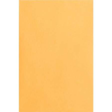 Business Source Durable Kraft Catalog Envelopes (42099)