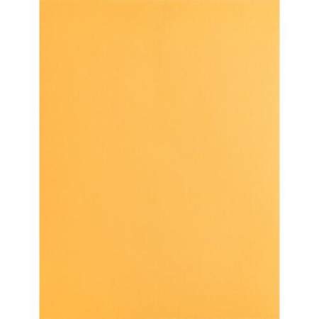 Business Source Kraft Gummed Catalog Envelopes (42100)