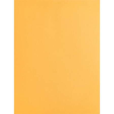 Business Source Kraft Gummed Catalog Envelopes (42100)