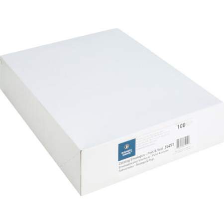 Business Source Self Sealing Catalog Envelopes (65451)