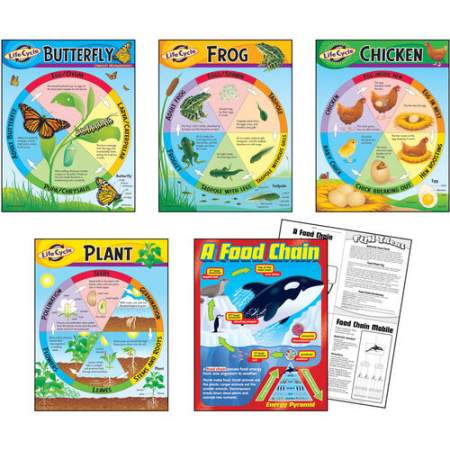 TREND Life Cycles Learning Charts Combo Pack (T38934)