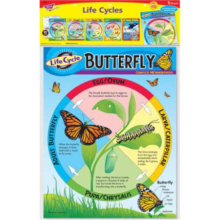 TREND Life Cycles Learning Charts Combo Pack (T38934)