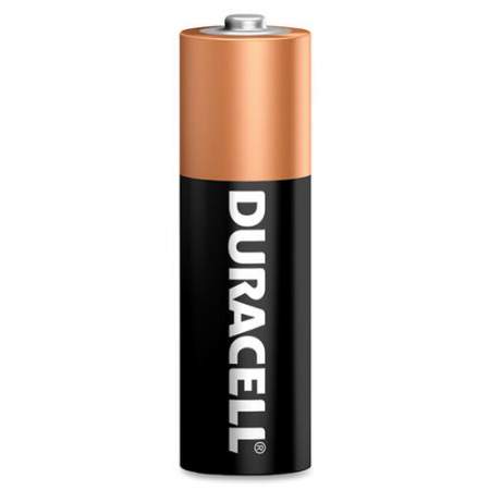 Duracell Coppertop Alkaline AA Battery - MN1500 (01501)