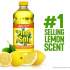 Pine-Sol All Purpose Cleaner (40239CT)