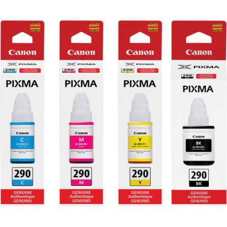 Canon PIXMA GI-290 Ink Bottle (GI290BK)