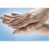 Clorox Hand Sanitizer (02176BD)