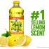 Pine-Sol All Purpose Cleaner (40239BD)