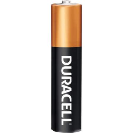 Duracell CopperTop Battery (MN1500B20CT)