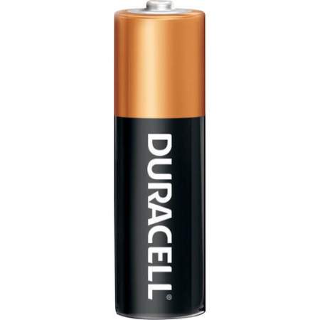 Duracell CopperTop Battery (MN15RT12ZCT)