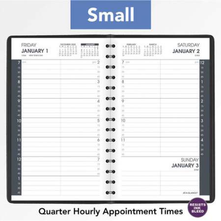 AT-A-GLANCE Daily Appointment Book (708000521)