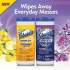 Fabuloso Disinfecting Wipes (06491)