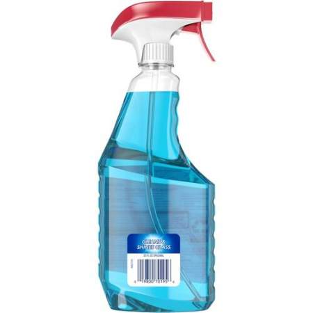 Windex Glass Cleaner (319833)