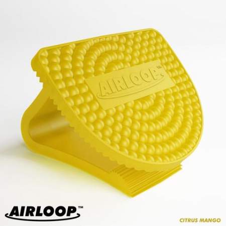Vectair Systems Airloop Toilet Bowl Clip Air Freshener (LOOPCIT)