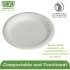 Eco-Products Sugarcane Plates (EPP016PCT)