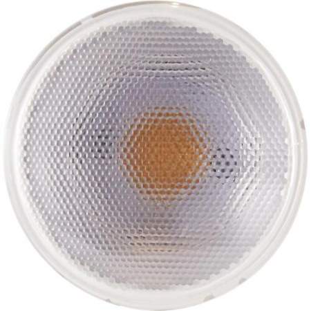 Satco PAR 30 LN LED Bulb (S29431)