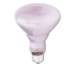 GE Incandescent Reveal BR30 Light Bulb, 65 W (48692)