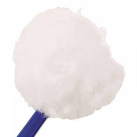 Toilet Bowl Mop, 12