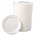 Quiet Classic Laminated Foam Dinnerware, Plate, 9