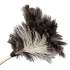 Boardwalk Professional Ostrich Feather Duster, 13" Handle (23FD)