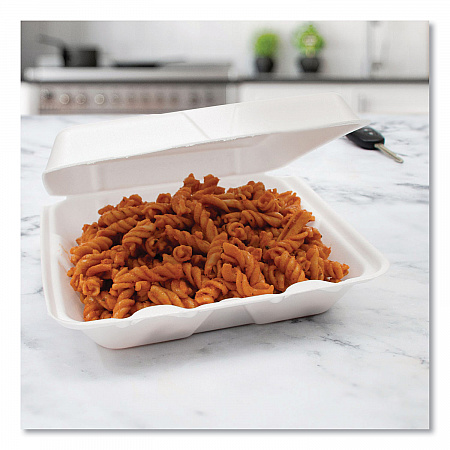 Foam Hinged Lid Containers, 9.25 x 9.5 x 3, 200/Carton (95HT1R)