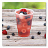 High-Impact Polystyrene Cold Cups, 14 oz, Plastic, Translucent, 50/Sleeve. 20 Sleeves/Carton (Y14)