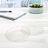 Conex Deli Container Lid, Clear, Plastic, 500/Carton (NL8RT7000)