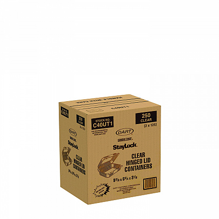 StayLock Clear Hinged Lid Containers, Oblong, 6.81 x 9.4 x 3.1, Plastic, 125/Bag, 2/Carton (C40UT1)