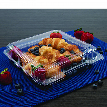 StayLock Clear Hinged Lid Containers, 8.6 x 9 x 3, Clear, Plastic, 100/Pack, 2 Packs/Carton (C55UT1)