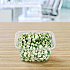 ClearPac SafeSeal Tamper-Resistant/Evident Containers, Domed Lid, 16 oz, Clear, Plastic, 100/Bag, 2 Bags/Carton (CH16DED)