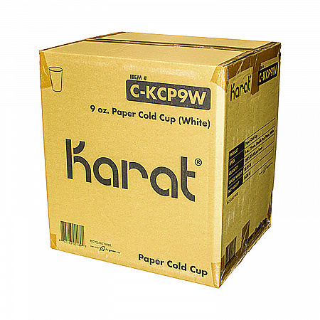 Double Poly Paper Cold Cups, 9 oz, White, 1,000/Carton (CKCP9W)