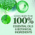 Toilet Bowl Cleaner, Fresh Mint Scent, 24 oz Bottle, 4/Carton (45166CT)