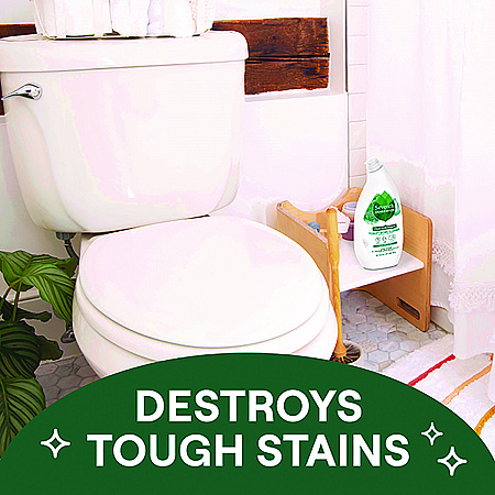 Toilet Bowl Cleaner, Fresh Mint Scent, 24 oz Bottle (45166EA)