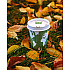World Art Renewable and Compostable Insulated Hot Cups, 12 oz, Paper, Brown/White, 40/Pack, 15 Packs/Carton (EPBNHC12WD)