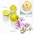 Hand Wash, Vibrant Lemon Scent, 12.2 oz, 12/Carton (100427)