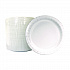 Paper Dinnerware, Plate, 6
