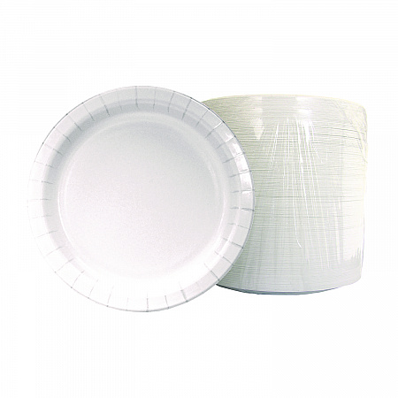 Paper Dinnerware, Plate, 6