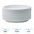 Hi-Impact Plastic Dinnerware, Plate, 9