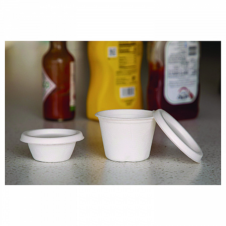 Vanguard Renewable and Compostable Sugarcane Portion Cups, 4 oz, White, 1,000/Carton (EPSPC4NFA)