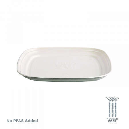 Regalia Renewable Sugarcane Tray, 9.06 x 14.37, White, Sugarcane, 100/Carton (EPSCTRS14NFA)