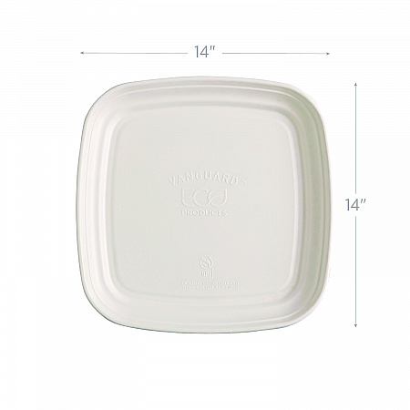 Regalia Renewable Sugarcane Tray, 9.06 x 14.37, White, Sugarcane, 100/Carton (EPSCTRS14NFA)