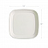 Regalia Renewable Sugarcane Tray, 9.06 x 14.37, White, Sugarcane, 100/Carton (EPSCTRS14NFA)