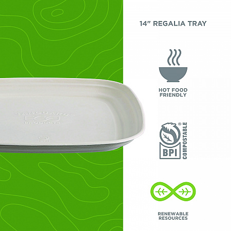 Regalia Renewable Sugarcane Tray, 9.06 x 14.37, White, Sugarcane, 100/Carton (EPSCTRS14NFA)