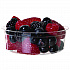 Renewable and Compostable Round Deli Containers, 8 oz, Clear, Plastic, 50/Pack, 10 Packs/Carton (EPRDP8)