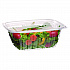 Renewable and Compostable Rectangular Deli Containers, 32 oz, 7.5 x 6.5 x 3, Clear, Plastic, 50/Pack, 4 Packs/Carton (EPRC32)
