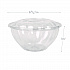 Renewable and Compostable Salad Bowls with Lids, 32 oz, Clear, Plastic, 50/Pack, 3 Packs/Carton (EPSB32)