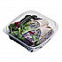 Renewable and Compostable Clear Clamshell Hinged Food Containers, 8 x 8 x 3, Plastic, 80/Pack, 2 Packs/Carton (EPLC81)