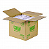 Renewable and Compostable Clear Clamshell Hinged Food Containers, 8 x 8 x 3, Plastic, 80/Pack, 2 Packs/Carton (EPLC81)